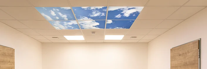 DOTLUX Panels