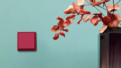 Roter Schalter des Herstellers Jung links an der blauen Wand montiert. Daneben Blumen auf einem Regal.
